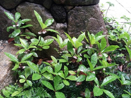 20120616_084813.jpg