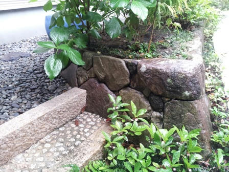 20120616_084831.jpg