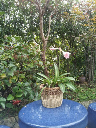 20121027_092923.jpg