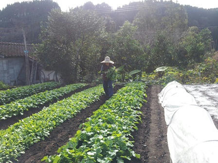 20121116_134934.jpg