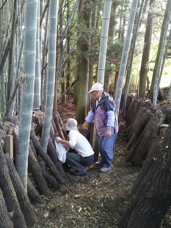 20121116_142509.jpg