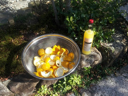 20121118_104845.jpg