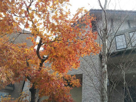 20121211_104855.jpg