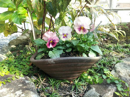 20121124_114958.jpg
