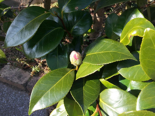 20130117_140308.jpg