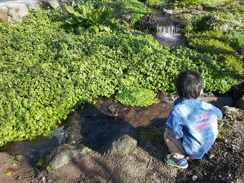 20130214_101303.jpg