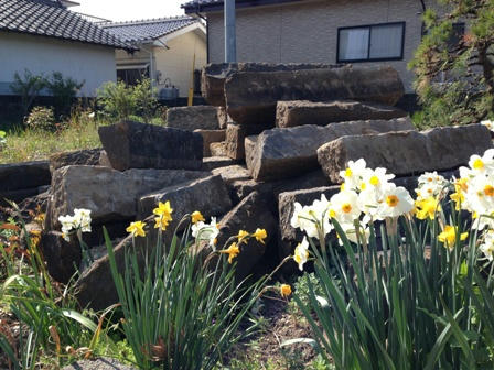 2013.4.1.JPG