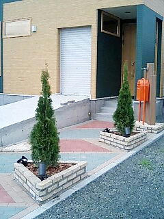 hg209.jpg