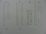 性染色体