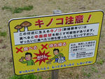キノコ怖い~