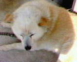 5a3605f7.jpg