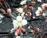 f1c70970.jpg