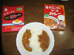 oriental-curry