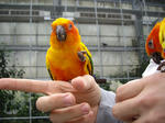 IMGP0706.jpg
