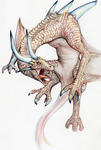 img035-iroen.jpg