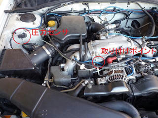 P1000387k.jpg