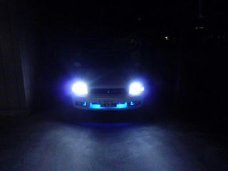 P1000410.jpg
