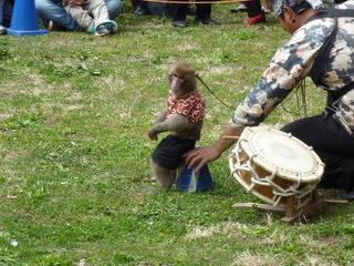 P1000540.jpg