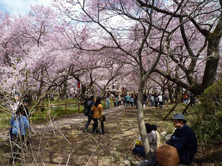P1000584.jpg