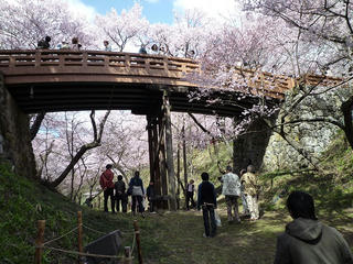 P1000613.jpg