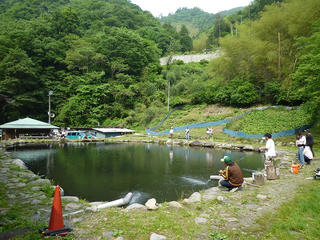 P1010087.jpg