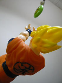 P1000550.JPG