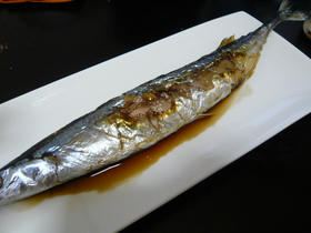 P1000610.JPG