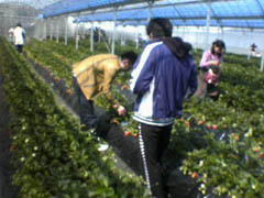 2012032502.jpg