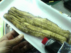 2012032504.jpg
