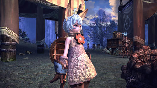 TERA_ScreenShot_20110901_224301-1.jpg