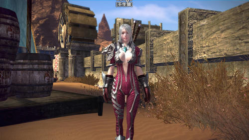 TERA_ScreenShot_20110905_195816-1.jpg