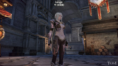 TERA_ScreenShot_20110912_035259-1.jpg