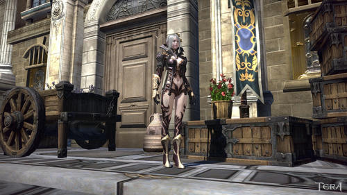 TERA_ScreenShot_20110921_183421-1.jpg