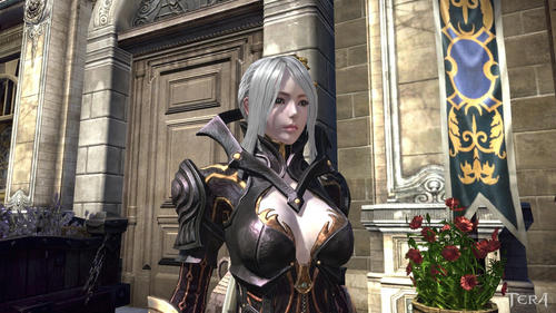 TERA_ScreenShot_20110921_183436-1.jpg