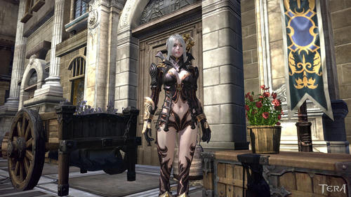 TERA_ScreenShot_20110921_183457-1.jpg