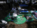 3ce20f55.JPG