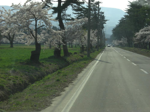 CIMG0568.JPG