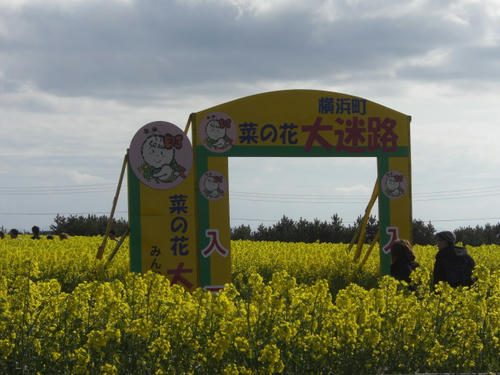 CIMG0744.JPG
