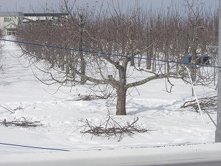 CIMG6384.jpg