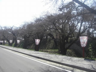 CIMG6718.jpg