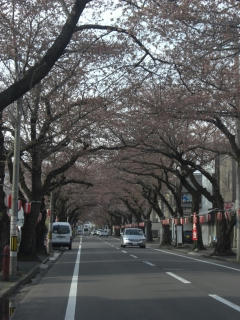 CIMG6750.jpg