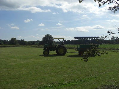 CIMG8105.jpg