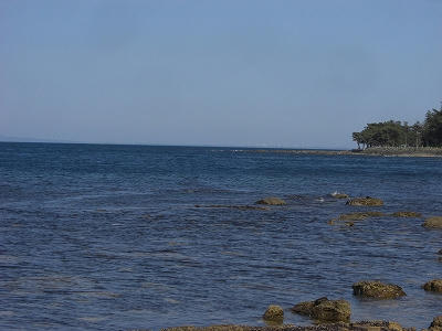 CIMG9773.jpg