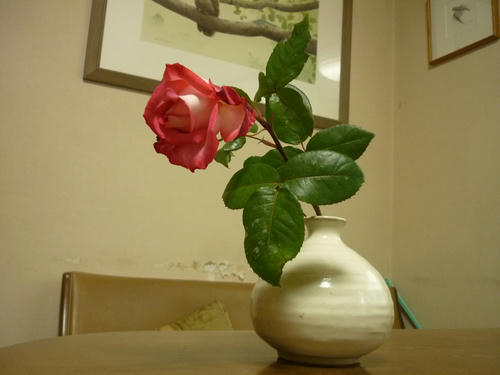 P1010969.JPG