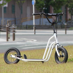 バギークロス(Buggycross) フェザーホワイト