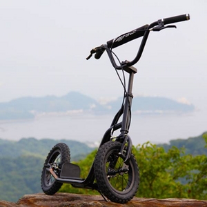 バギークロス(Buggycross) ファントムブラック