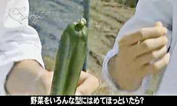 20060926 驚きの嵐!ほっとき実験で星型に入れていたキュウリを型から出したところ