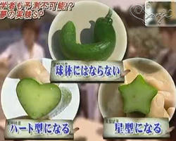 20060926 驚きの嵐！ キュウリを球体とハート型、星型の型にはめてほっといたほっとき実験結果