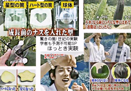 20060926 驚きの嵐! ナスを球体とハート型、星型の型にはめてほっといたほっとき実験結果
