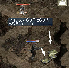 SS870.jpg